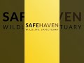 Let’s hear from the venues - Safe Haven | Wild Animal Unique Personality Award 2024