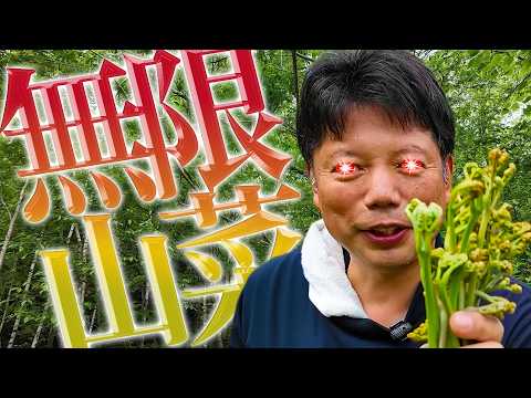 【無限収穫編】木曽駒で山菜収穫ラッシュ！【井口智明】