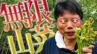 【無限収穫編】木曽駒で山菜収穫ラッシュ！【井口智明】