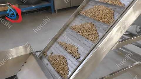 Continuous roasting machine roasted peanuts
