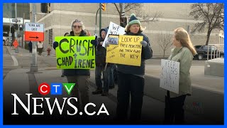 Guilty Pleas In Animal Cruelty Case