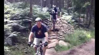 Cannock Chase Monkey Trail