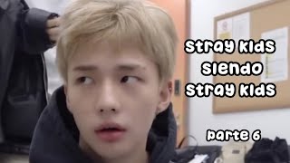 Stray Kids siendo Stray Kids #6 by latamstay 633,154 views 1 year ago 7 minutes, 33 seconds