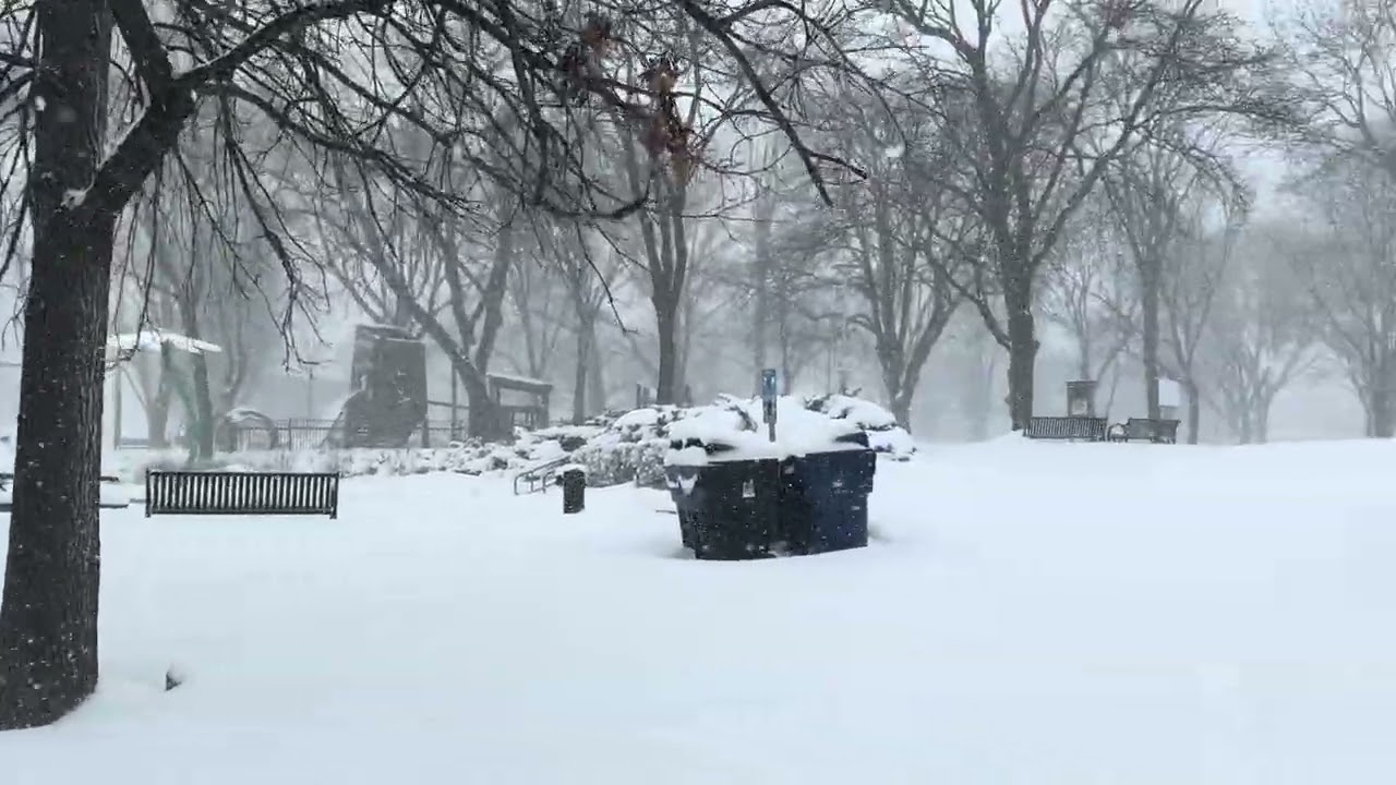 Snowstorm In Toronto 