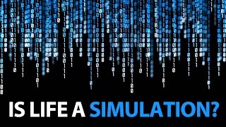 7 Reasons Why We May Be Living in A Computer Simulation