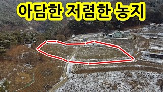 500여평의 아담한 농지입니다. 2명이 나눠사기 좋은 땅입니다.