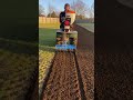 lawn seeding