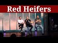 The truth about the red heifers  3rd temple  dr randy caldwell  pastor jackson lahmeyer