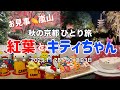 【京都】ひとり旅 キティちゃんビュッフェ・嵐山・五木茶屋・祐斎亭・東寺ライトアップ・ハローキティ展 ・勝牛・ラルフズコーヒー 2025.11.28~30 思い出
