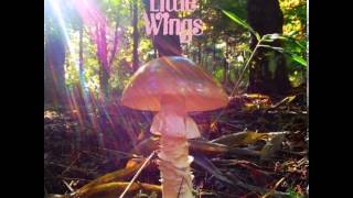 Video thumbnail of "Little Wings - I Waited On The Door"