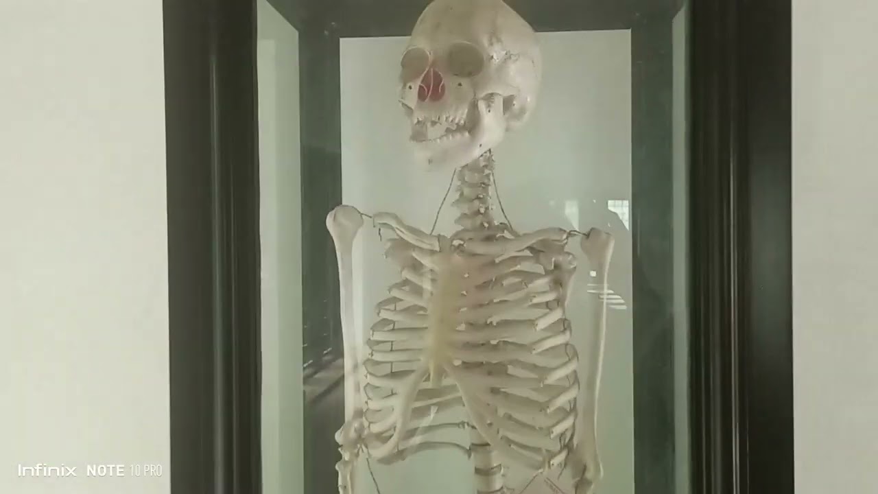 SNGCS Ezhukone Video 2025