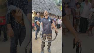 king cobra snake Full video 👆 #snakevideo #shorts #snake