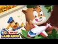 🔍Sheriff Labrador - No Trepes a Lugares Altos | EP 80 | Videos para Niños | BabyBus en Español