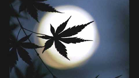 田中賢一郎 Youtube