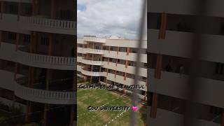 Glimpses From Cdu X Niat