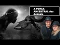 Totem Animal: As Forças dos Animais de Poder • Conversas com o Xamã | Trama Invisível