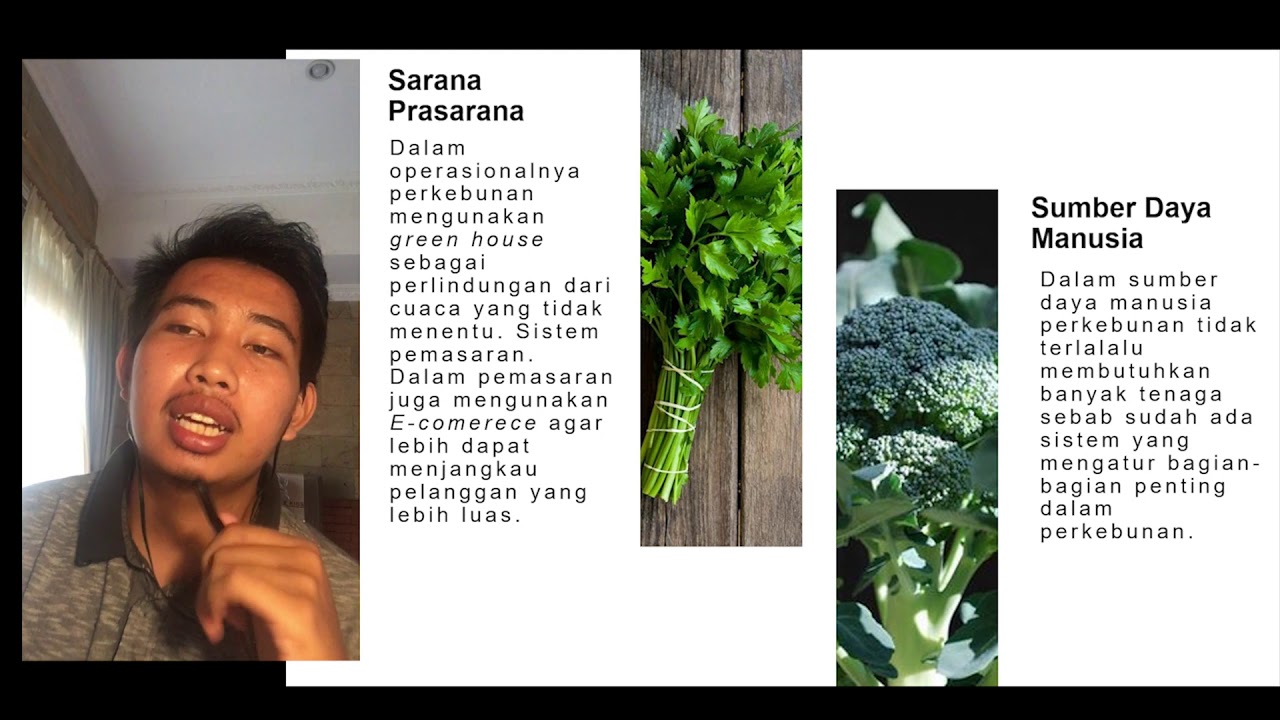 Made Market Garden business Plan YouTube