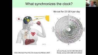 Intermittent Fasting: How it Can Reduce the Risk of Breast Cancer Recurrence