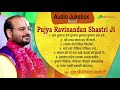 नॉनस्टॉप भजन | Nonstop Krishna Bhajans | P. P. Ravinandan Shastri Ji Bhajan Mp3 Song