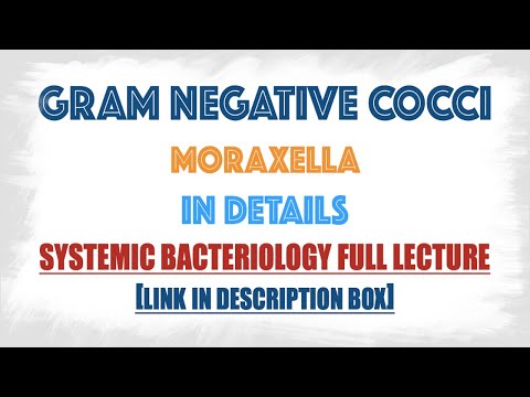 تصویری: Moraxella osloensis کجا یافت می شود؟