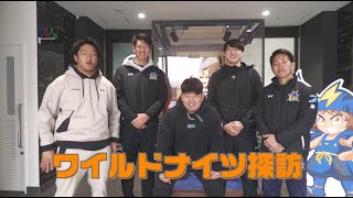 【第1回】ワイルドナイツ探訪