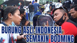 TRUCUKAN MULAI BOOMING