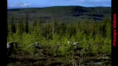 Com'è il clima subartico?