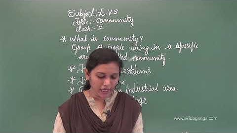 STATE 5 - EVS - COMMUNITY - PART 2