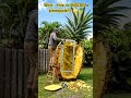 From fruit to fantasy 🍍🏡#pineapple #transformation #viralshorts #satisfying  #beforeafter  #trending