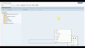 Online Class1 Sap Automation MP4