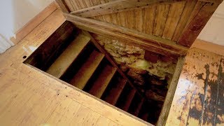 Polizei Findet Geheime Falltür In Tierarztpraxis Was Sie Dort Fanden Ist Unglaublich