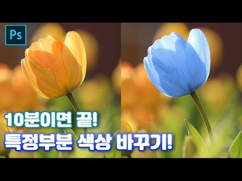   포토샵 강좌 꿀팁 10분안에 끝내요 특정부분 색상 바꾸기 Photoshop Color Change Effect