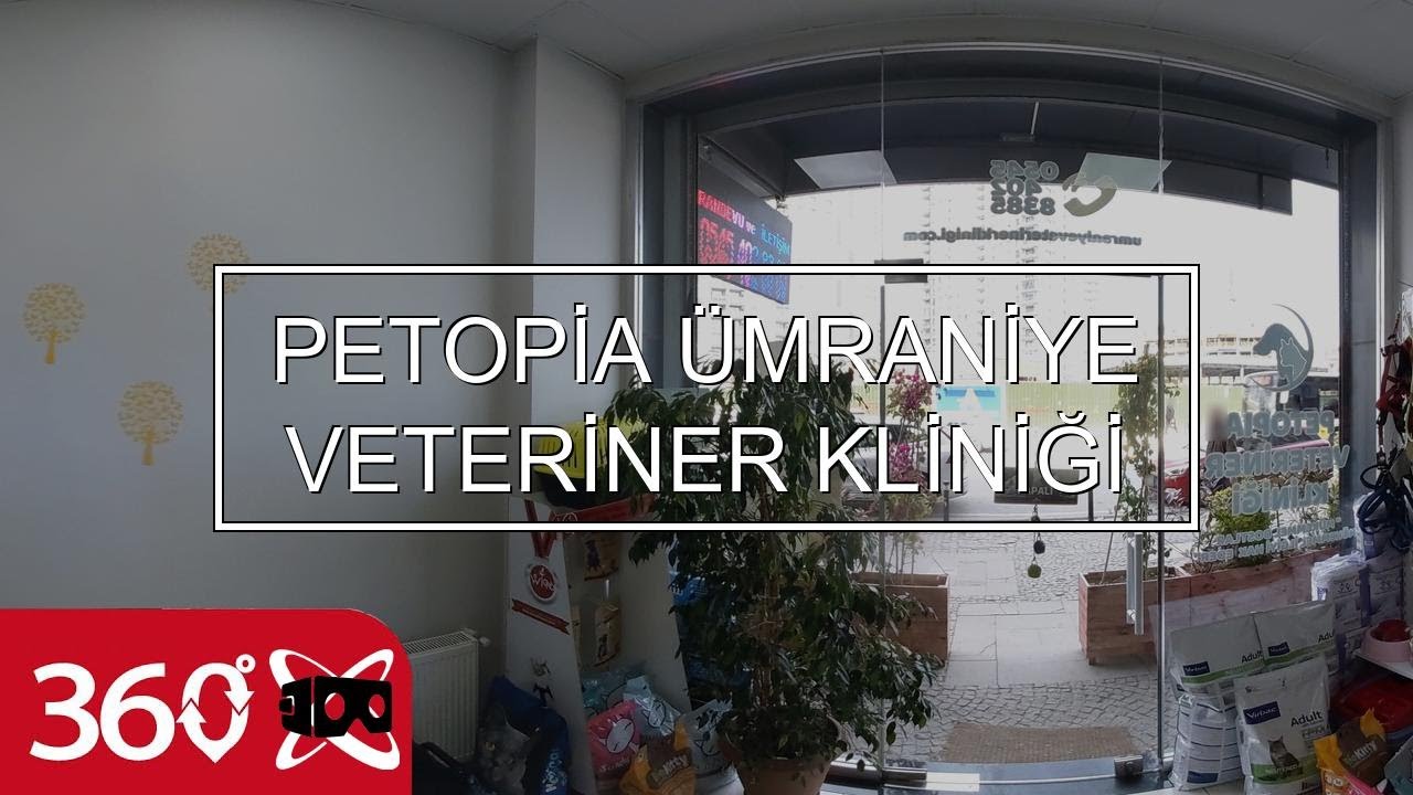 PETOPİA ÜMRANİYE VETERİNER KLİNİĞİ YouTube