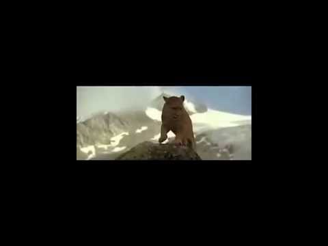 რად მინდა სამოთხე ნანა