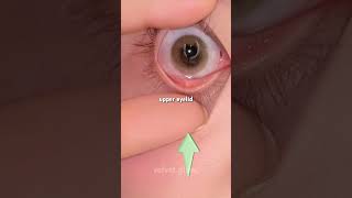 How to Remove Contact Lenses Easily 😳 3 Second Trick!