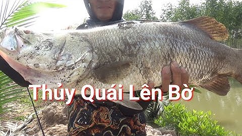 Hành Trình Câu Cá Chẽm Cá Vược Fishing seabass | Cha Già Vlogs Phần 1