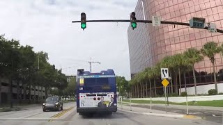 Sharing the road with buses