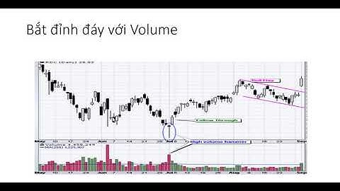 Để trở thành Pro Trader Bài 14  Volume giao dịch là gì  Hướng dẫn chi tiết sử dụng công cụ Volume