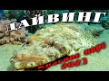 Дайвинг. Красное море  2023.