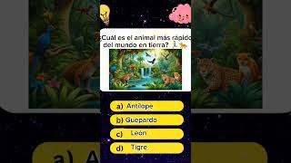 Sabes cuál es el Animal más rápido? 🦴🤯 | Quiz #trivia #fyp #viral #quiztime #fypシ゚viral #viralshorts