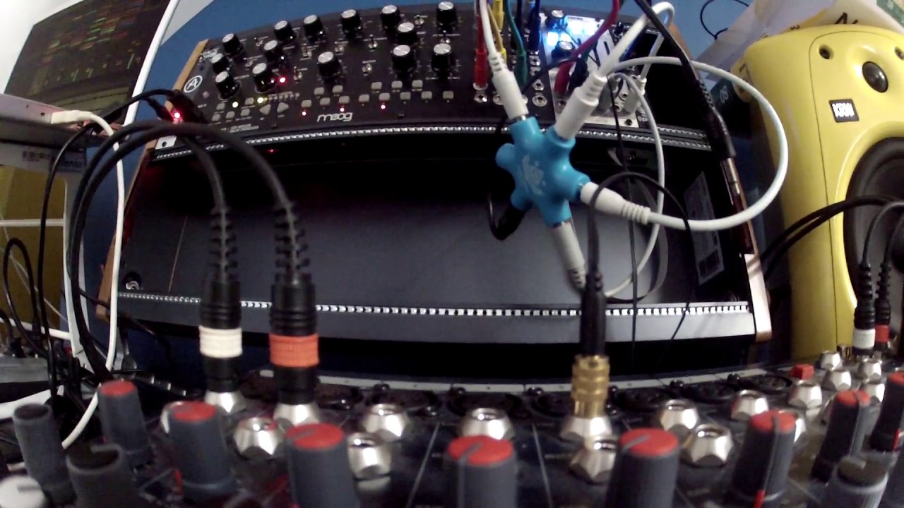 Pittsburgh Lifeforms Primary Oscillator & Moog Mother 32 Techno Jam