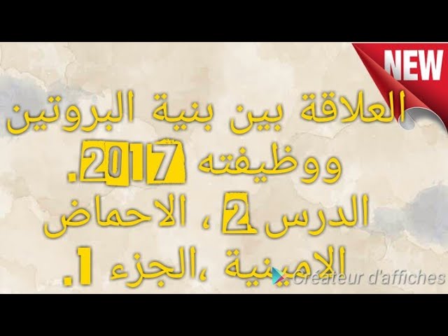 2* العلاقة بين بنية البروتين ووظيفته 2017. الدرس الثاني، الاحماض الامينية، الجزء الاول.