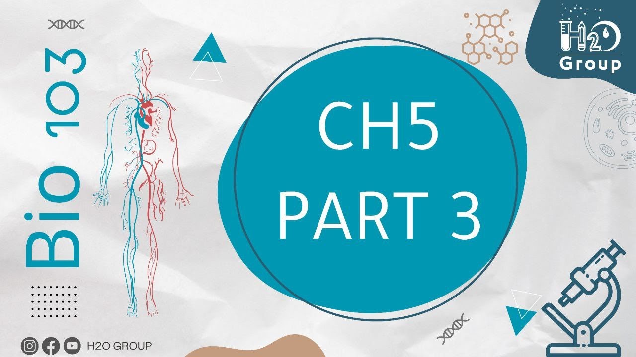 BT103 Lecture 3 Ch5 part 3 || Dr Rami Alkhatib