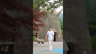 나무 집 #kntravel #한국여행 #zoo #animals #southkorea #shortvideo #travel #shorts #share