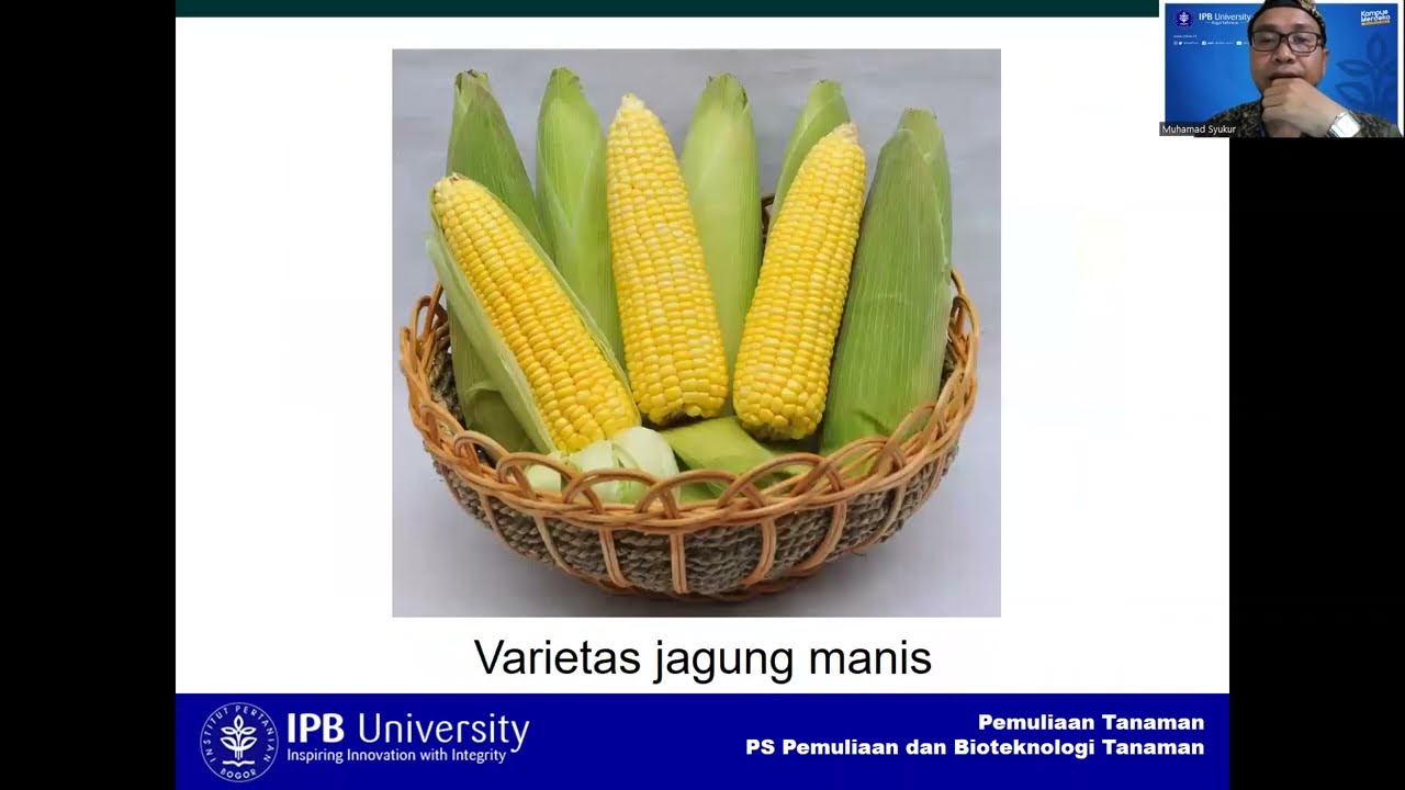 Pemuliaan Tanaman Menyerbuk Silang