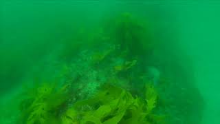 Open ROV   HD 720p