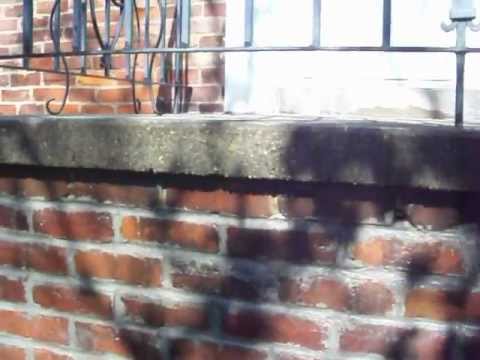 How To Clean Exterior Brick With Muriatic Acid?
