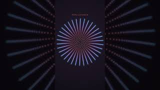 Information Phyllotaxis Update