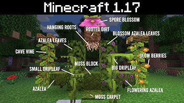 Minecraft 1.17 - New Lush Cave Blocks - Azalea, Moss, Roots, Spore Blossom, Glow Berries, Dripleaf