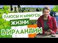 Жизнь в Ирландии: плюсы и минусы